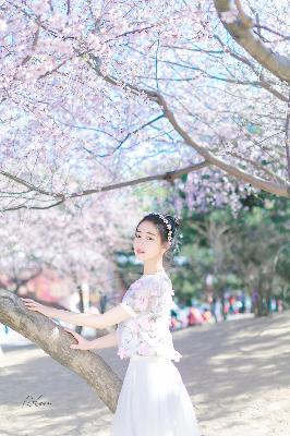 唐朝诡事录第三季